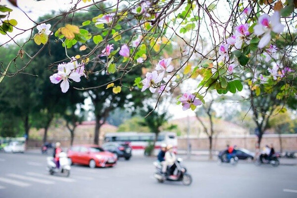 Dự báo thời tiết ngày 19/2/2025: Hà Nội nhiều mây, có mưa nhỏ